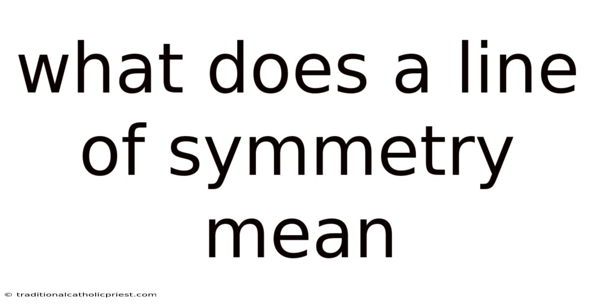 What Does A Line Of Symmetry Mean