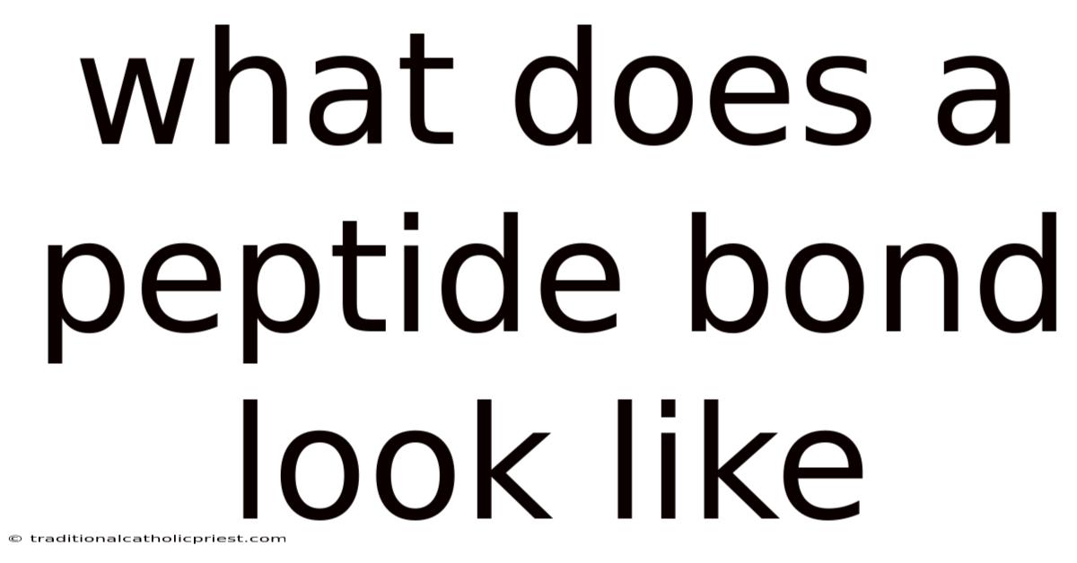 What Does A Peptide Bond Look Like