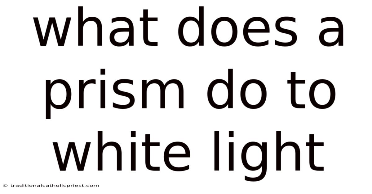 What Does A Prism Do To White Light