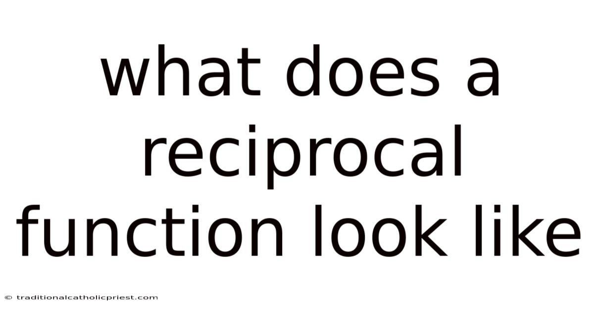 What Does A Reciprocal Function Look Like