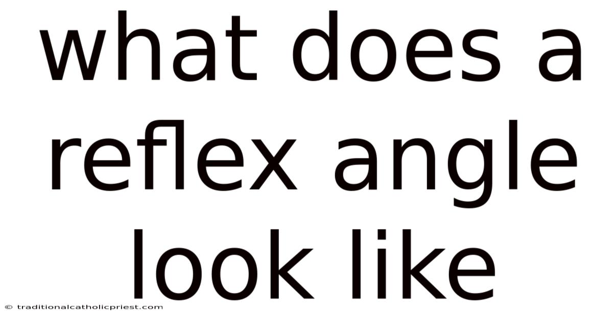 What Does A Reflex Angle Look Like