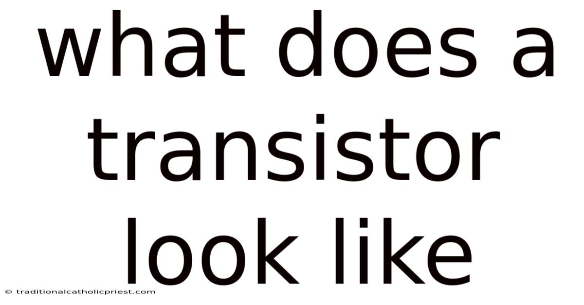 What Does A Transistor Look Like