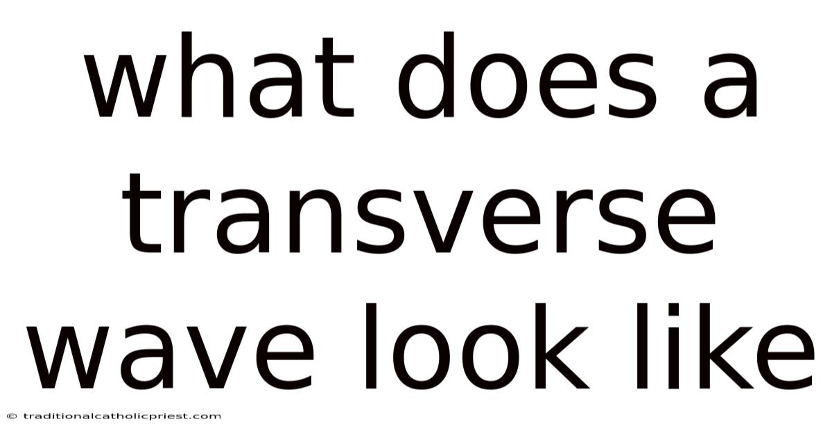 What Does A Transverse Wave Look Like