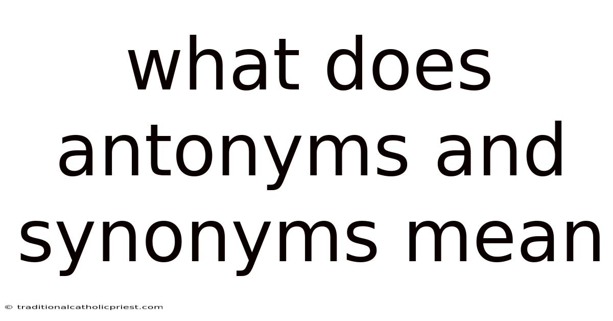 What Does Antonyms And Synonyms Mean