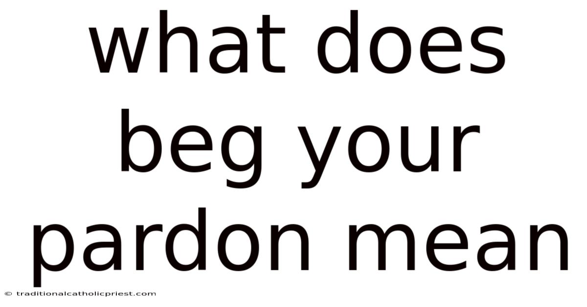 What Does Beg Your Pardon Mean