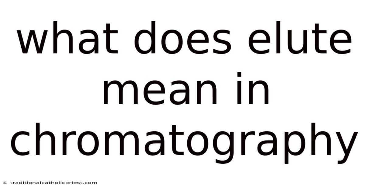 What Does Elute Mean In Chromatography