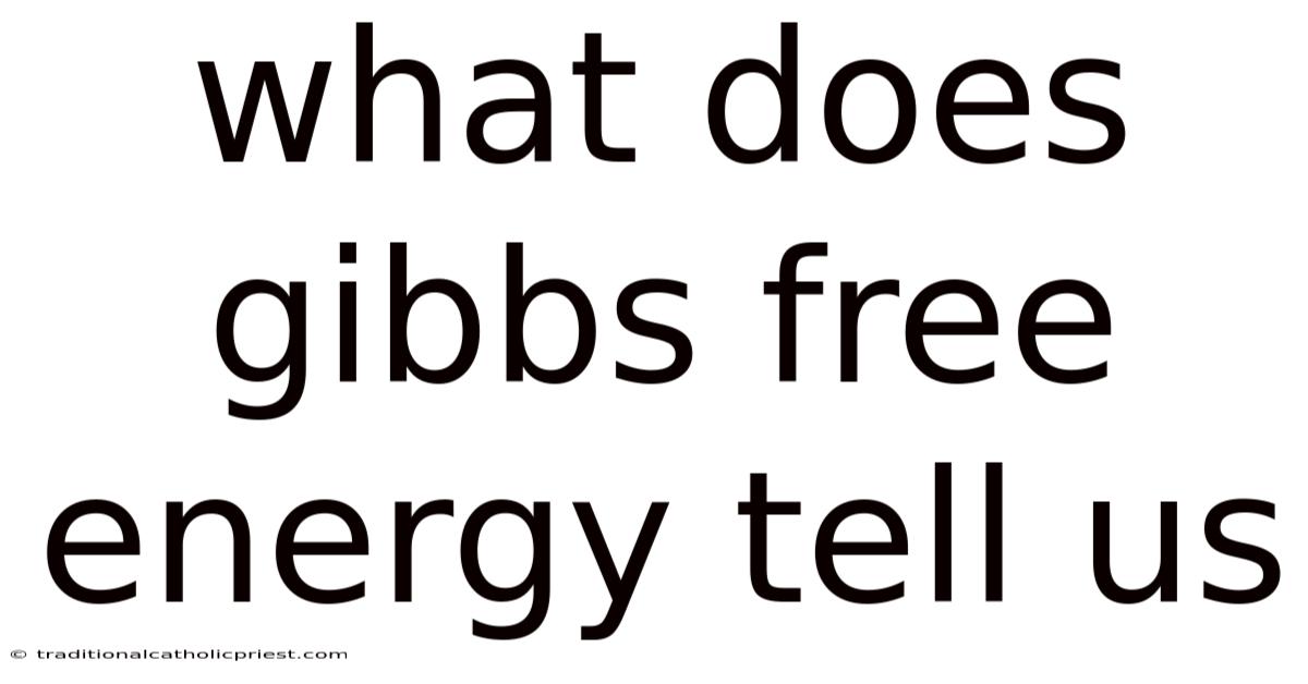 What Does Gibbs Free Energy Tell Us