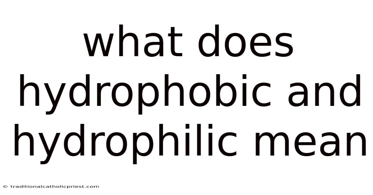 What Does Hydrophobic And Hydrophilic Mean