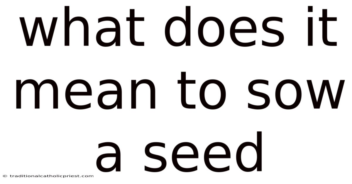 What Does It Mean To Sow A Seed