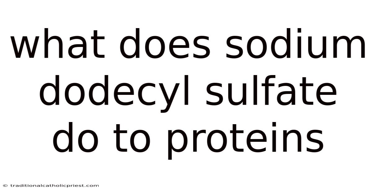 What Does Sodium Dodecyl Sulfate Do To Proteins