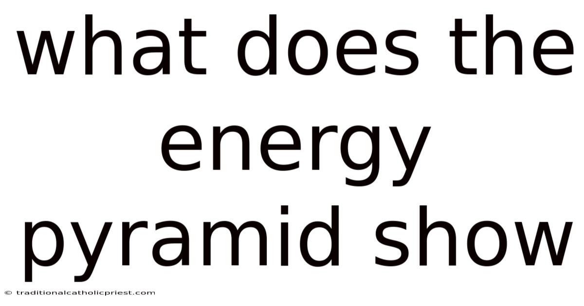 What Does The Energy Pyramid Show