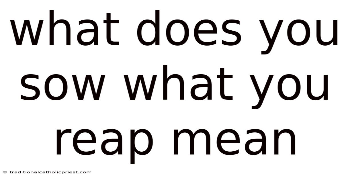 What Does You Sow What You Reap Mean