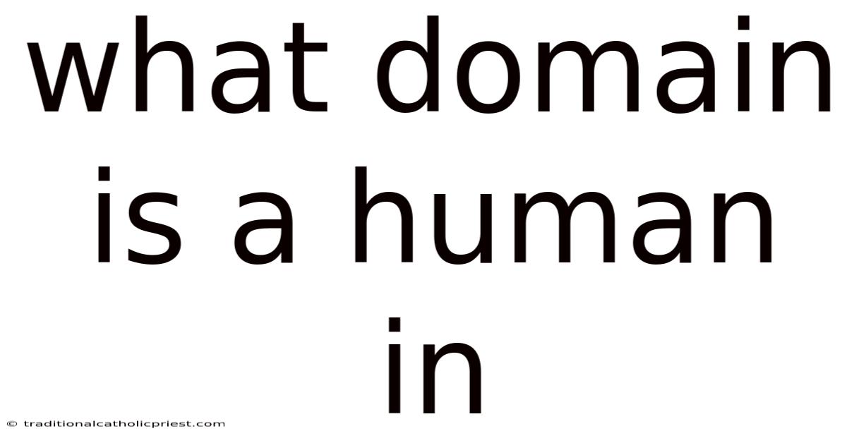 What Domain Is A Human In