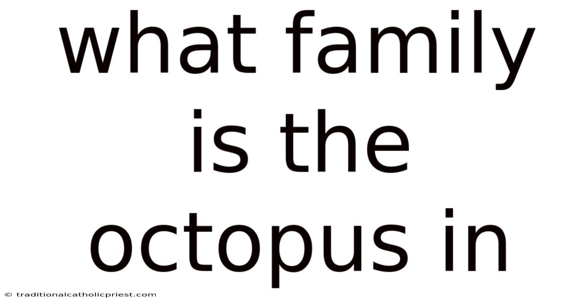What Family Is The Octopus In