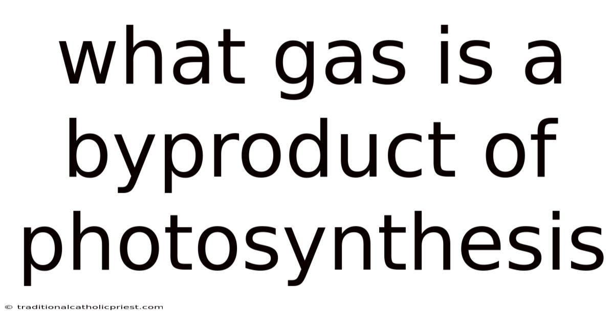 What Gas Is A Byproduct Of Photosynthesis