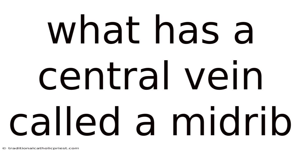 What Has A Central Vein Called A Midrib