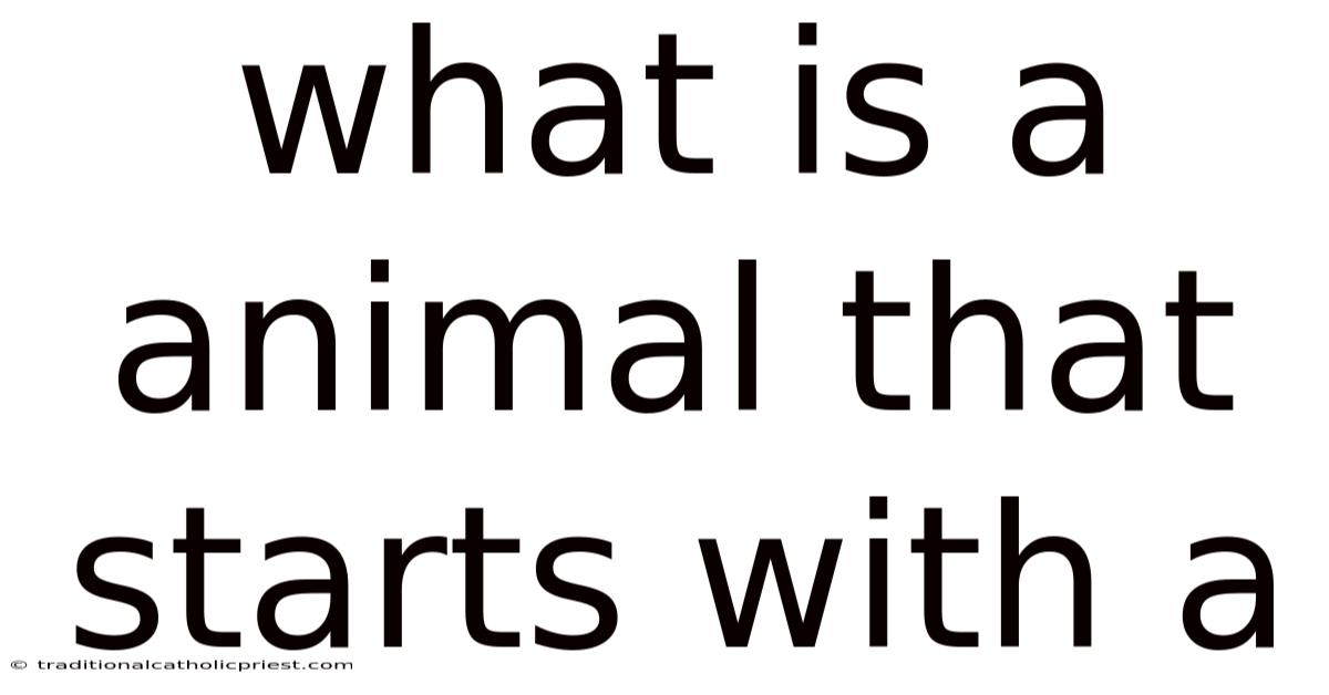 What Is A Animal That Starts With A
