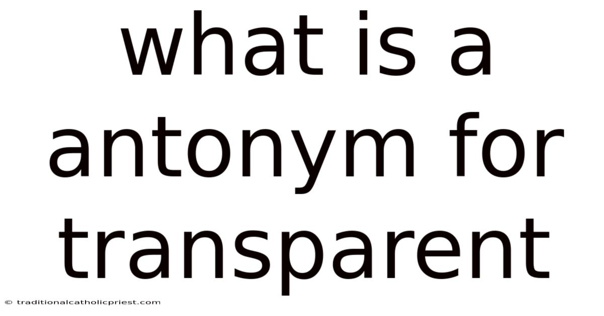 What Is A Antonym For Transparent