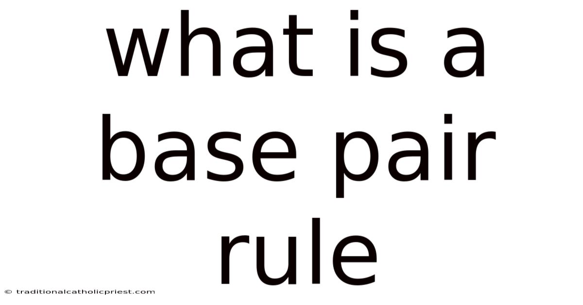 What Is A Base Pair Rule