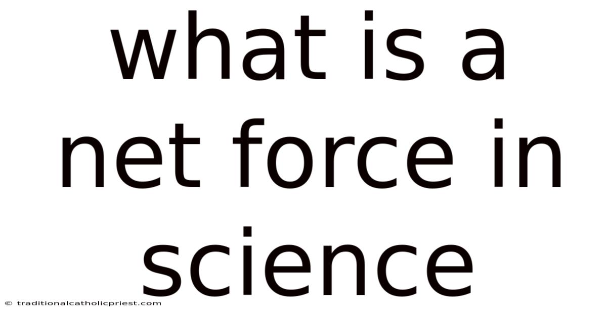 What Is A Net Force In Science