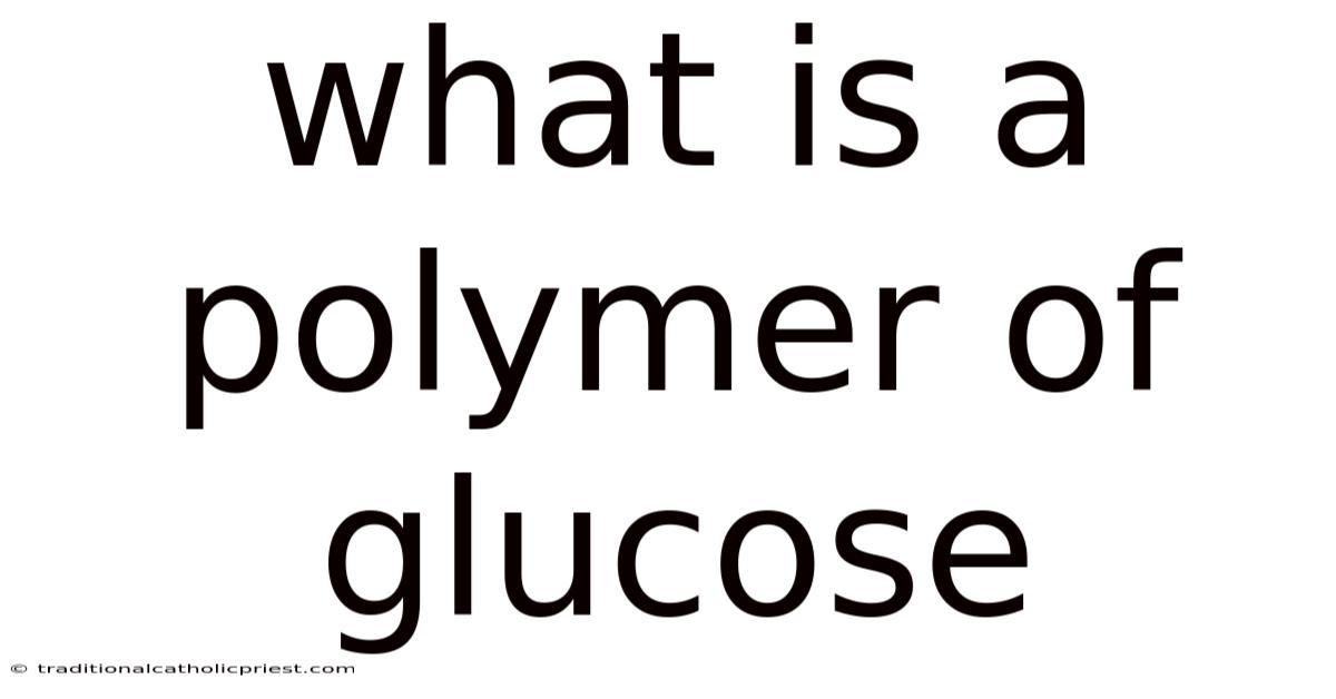 What Is A Polymer Of Glucose