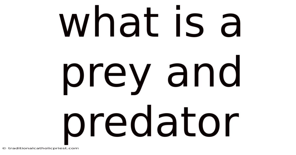 What Is A Prey And Predator