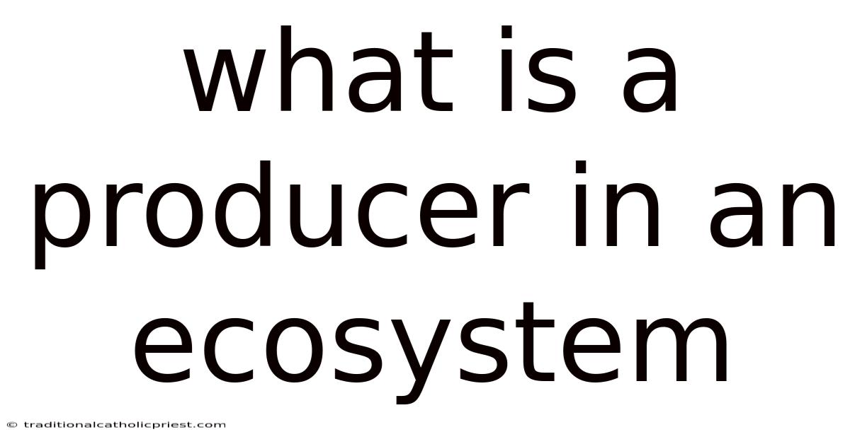 What Is A Producer In An Ecosystem