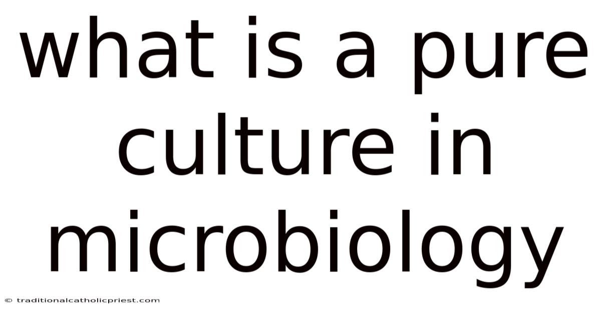 What Is A Pure Culture In Microbiology