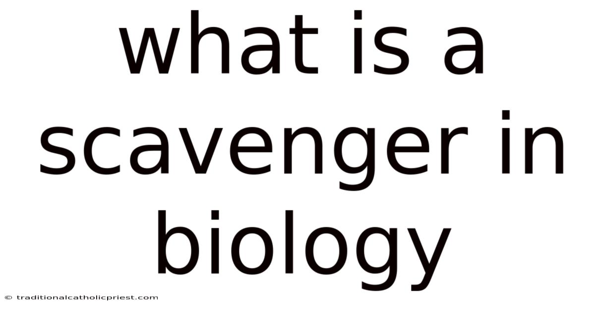 What Is A Scavenger In Biology