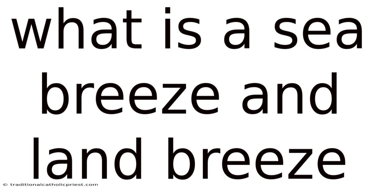 What Is A Sea Breeze And Land Breeze