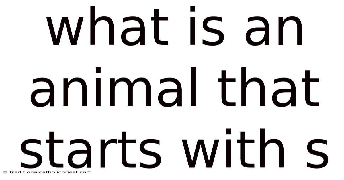 What Is An Animal That Starts With S