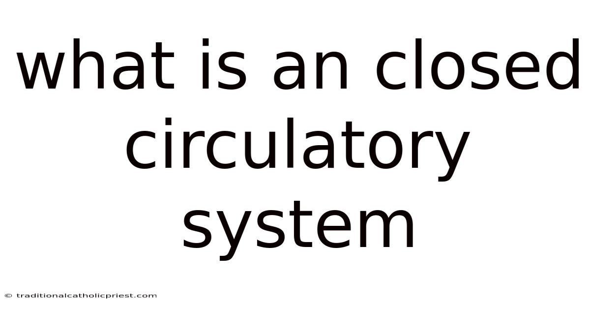 What Is An Closed Circulatory System