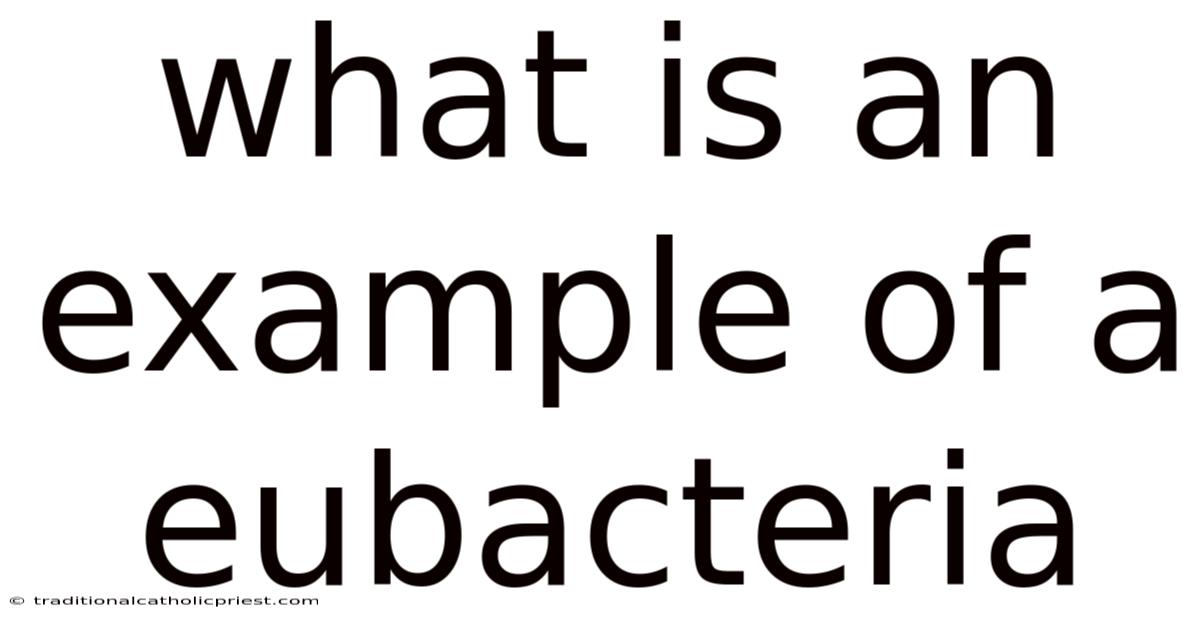 What Is An Example Of A Eubacteria