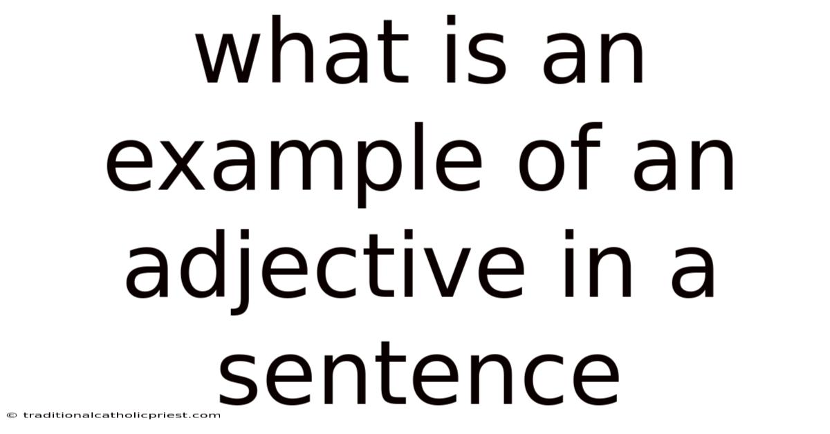 What Is An Example Of An Adjective In A Sentence
