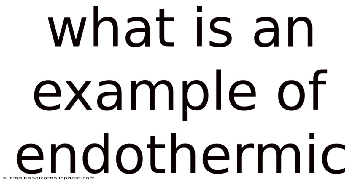 What Is An Example Of Endothermic