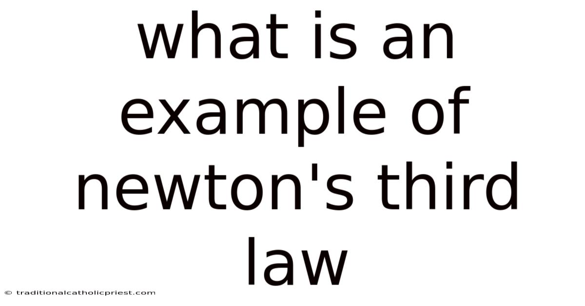What Is An Example Of Newton's Third Law