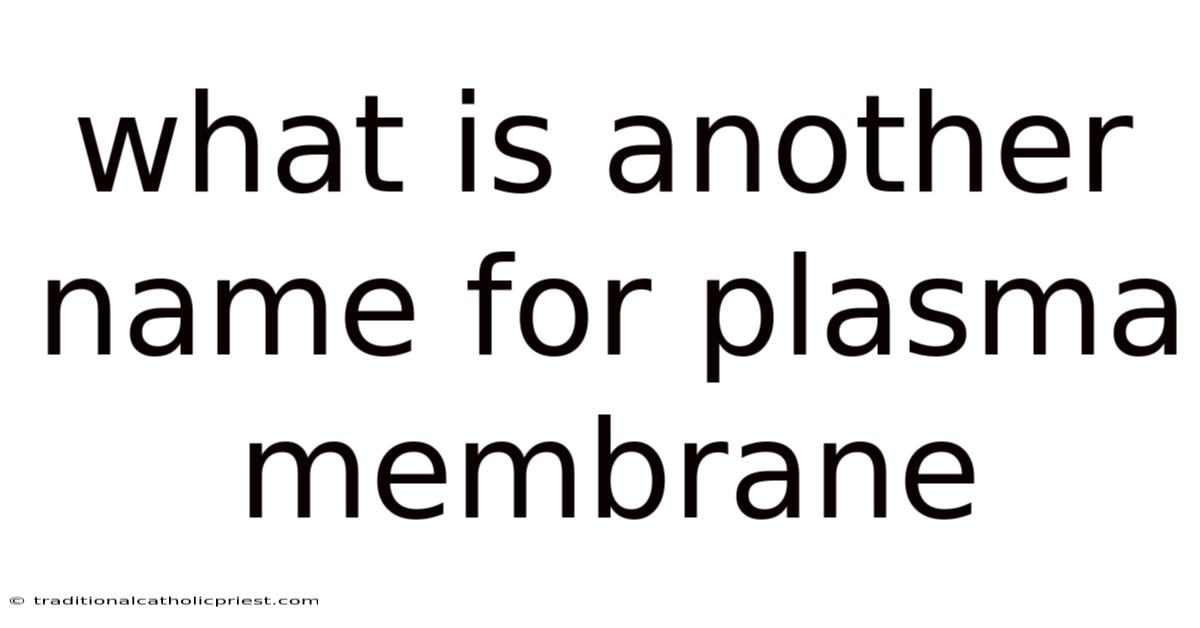 What Is Another Name For Plasma Membrane