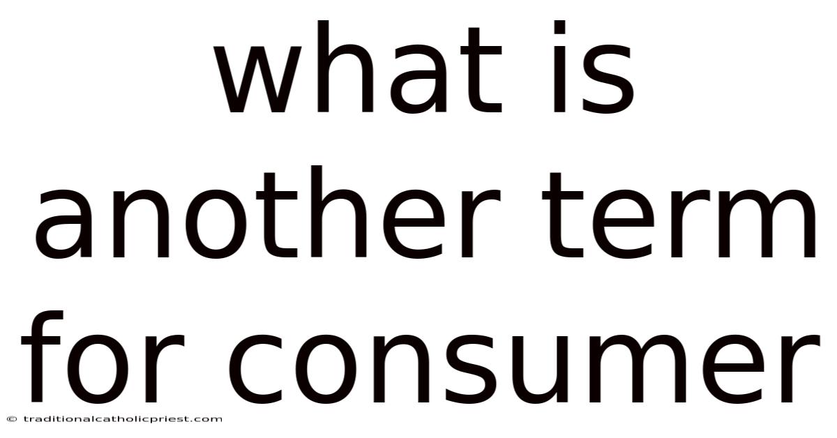 What Is Another Term For Consumer