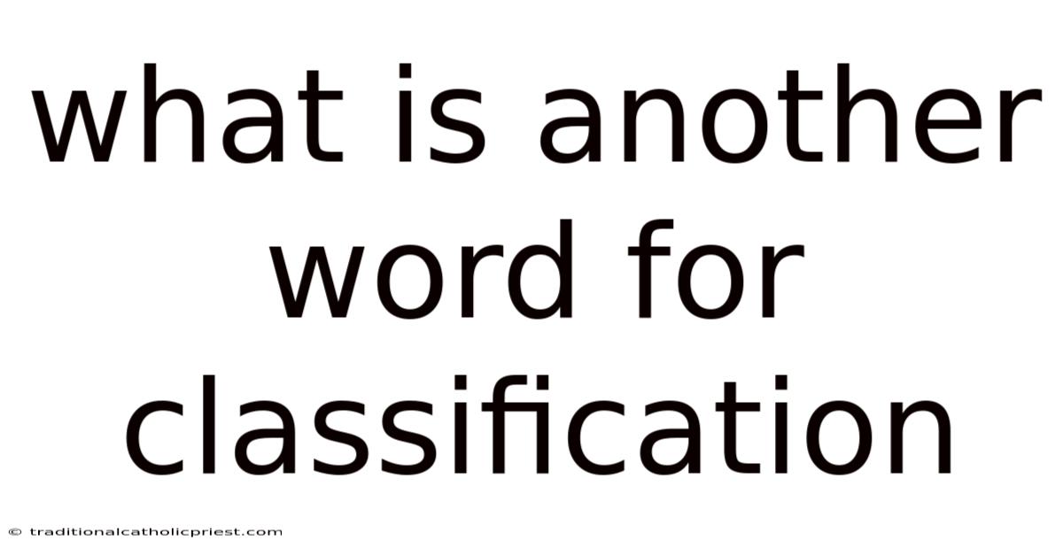 What Is Another Word For Classification