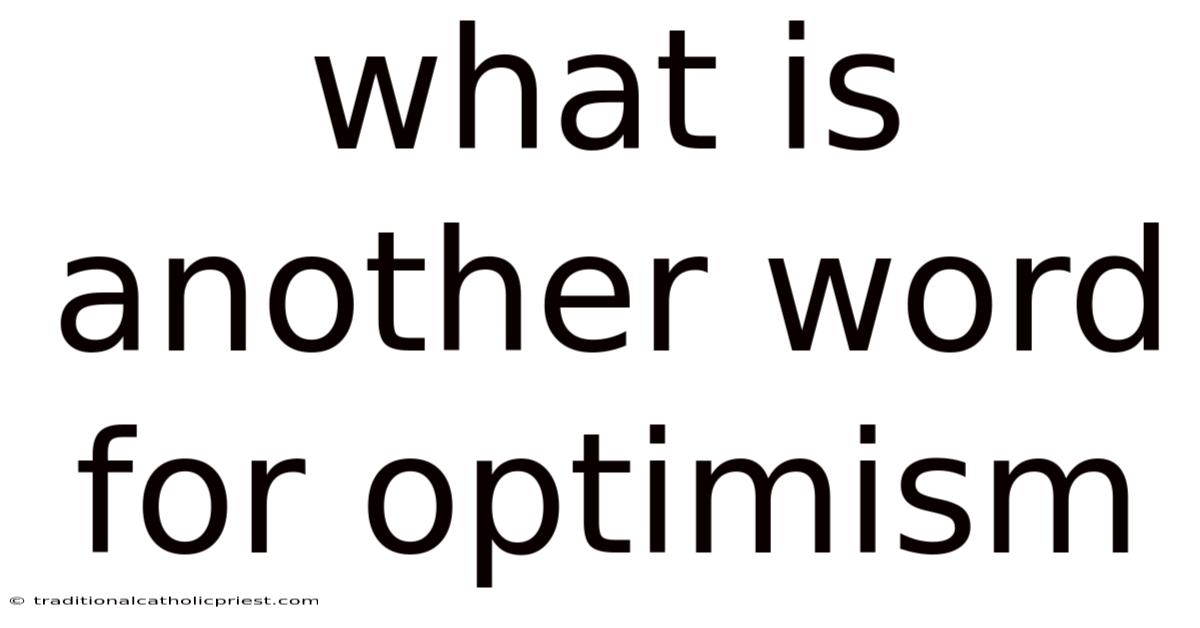 What Is Another Word For Optimism