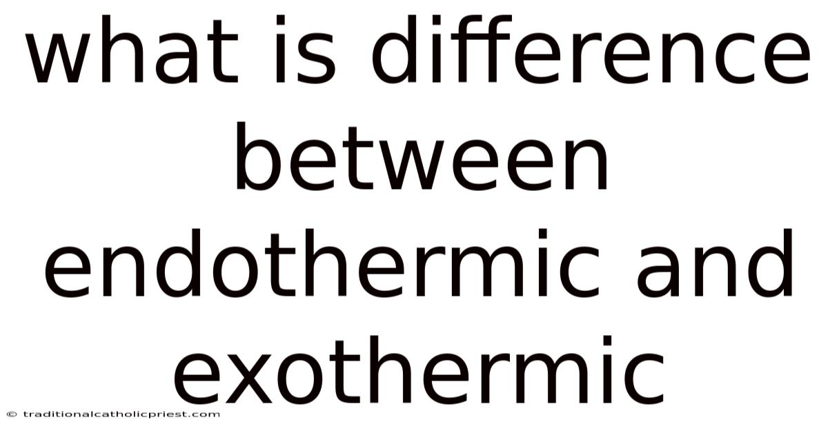 What Is Difference Between Endothermic And Exothermic