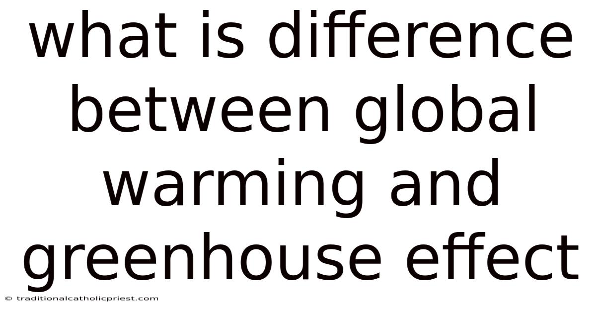 What Is Difference Between Global Warming And Greenhouse Effect