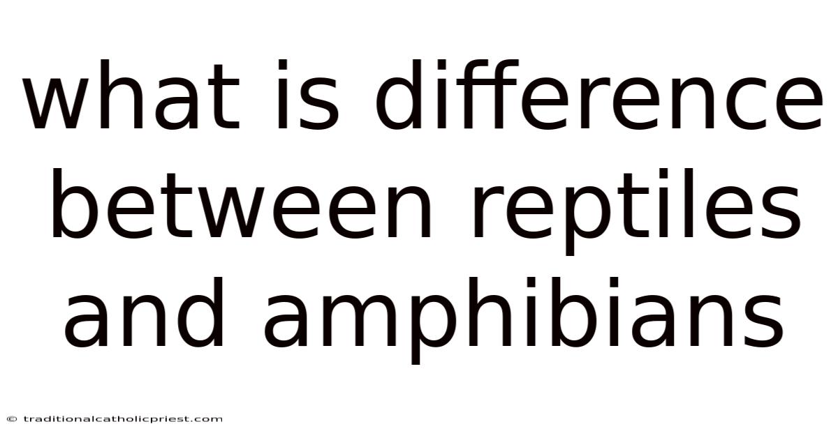 What Is Difference Between Reptiles And Amphibians