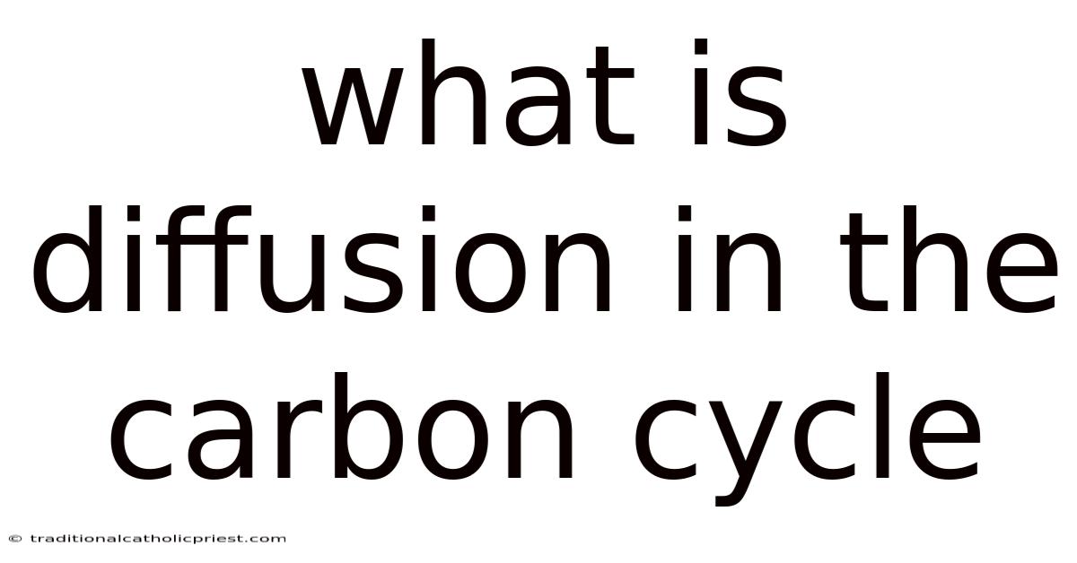 What Is Diffusion In The Carbon Cycle
