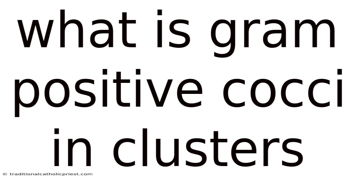 What Is Gram Positive Cocci In Clusters