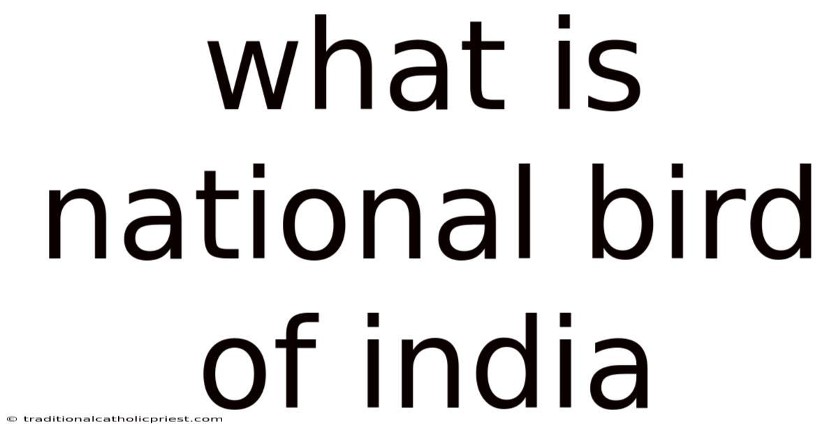 What Is National Bird Of India