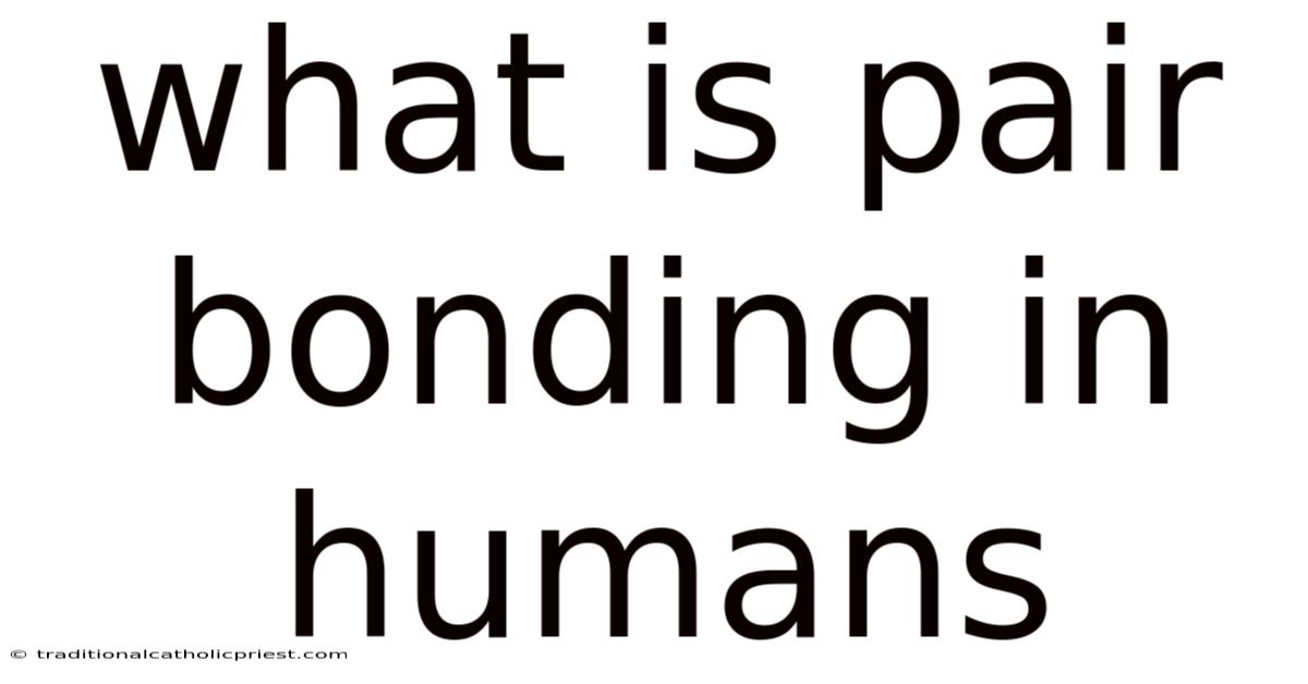 What Is Pair Bonding In Humans