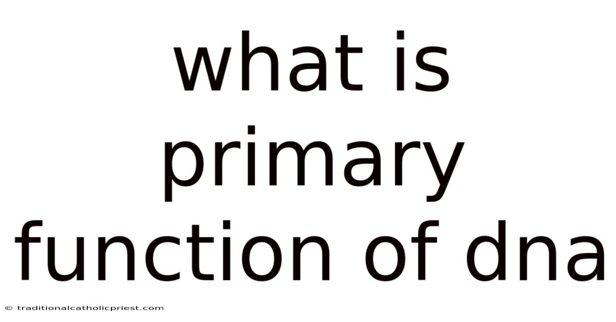 What Is Primary Function Of Dna