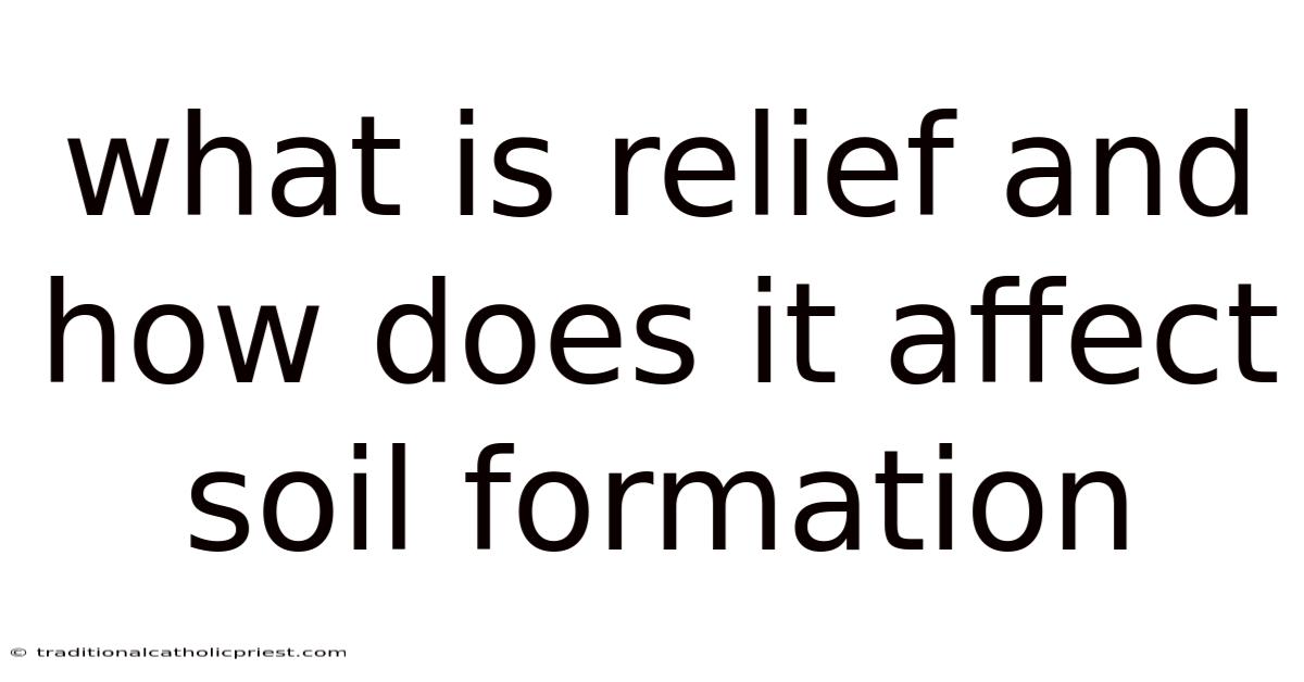 What Is Relief And How Does It Affect Soil Formation