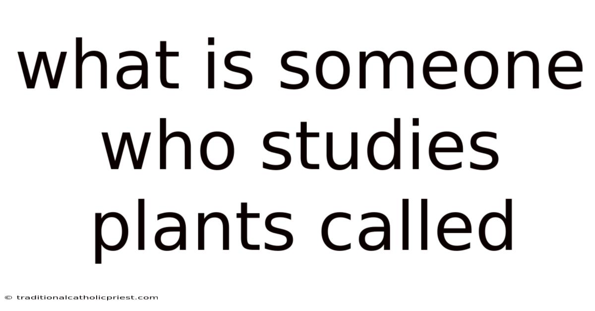 What Is Someone Who Studies Plants Called